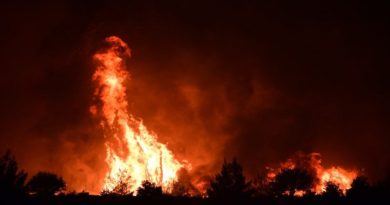 Incendios forestales en Argelia dejan al menos 42 muertos