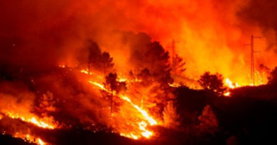 Reportan incremento de incendios en Turquía, Grecia e Italia