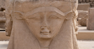 Un grupo de arqueólogos encontró un amuleto y cuentas de collar de Hathor —la diosa egipcia de la alegría, la maternidad y el amor— de unos 3.000 años de antigüedad en un yacimiento del Cerro de San Vicente de Salamanca (Castilla y León, España), informaron este domingo medios locales. El hallazgo corrió a cargo de un equipo de arqueólogos de la Universidad de Salamanca y del Ayuntamiento de esta ciudad y es el resultado de una serie de trabajos arqueológicos que empezaron en la década de 1990, reseña el portal web de RT. Se cree que las piezas fueron fabricadas alrededor del año 1.000 antes de Cristo (a.C.) en el Antiguo Egipto. El material usado para su elaboración es una cerámica de cuarzo denominada fayenza que solían usar los egipcios para sus trabajos artesanales y que destaca por el característico color azul que tienen los abalorios hallados. Los expertos consideran que los objetos llegaron a través de comerciantes fenicios que buscaban "intercambiar productos con los indígenas de esta zona", un enclave comercial muy importante en la península ibérica en aquel entonces. Por lo general, este tipo de amuletos o figuras se encuentran en las necrópolis, aunque en esta ocasión el descubrimiento ha tenido lugar en lo que fue la casa de un gran señor de la época, que se supone que fue un importante comerciante de metales.z