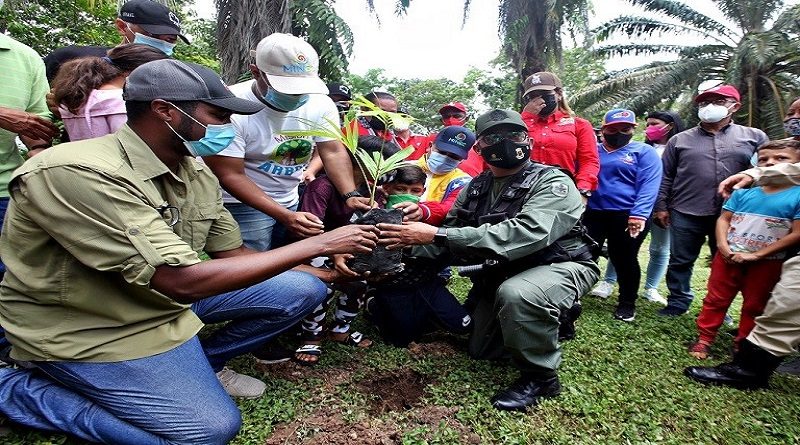 Instalado primer vivero comunitario en Monagas para producir 12 mil plantas