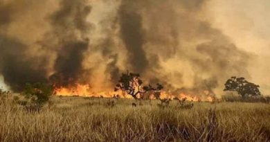 Incendio consume más de la mitad de la reserva forestal parque Juquery en Brasil