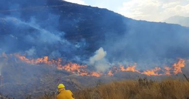 En Perú incendio forestal arrasa con 2.200 hectáreas en la zona de los Andes