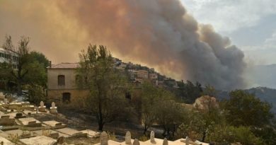 Venezuela se solidariza con Argelia por daños ocasionados por incendios forestales