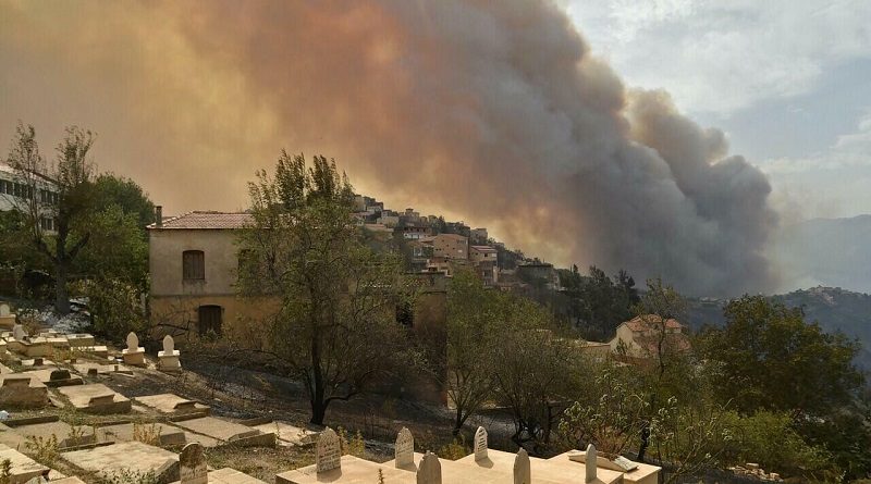 Venezuela se solidariza con Argelia por daños ocasionados por incendios forestales