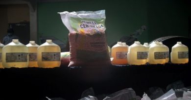 producción agrícola