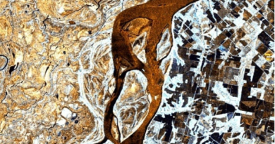 Satélites de Argentina captan la bajante histórica del río Paraná