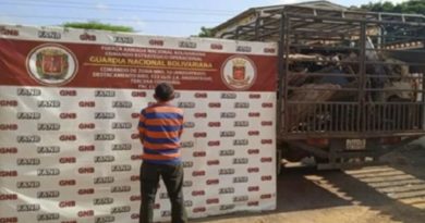 GNB incauta un total de 65 mil 235 kilos de material estratégico en diferentes labores de patrullaje