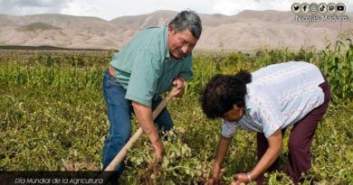 En el Día Mundial de la Agricultura | Gobierno Nacional reitera su apoyo a todos los productores para avanzar en la construcción del nuevo modelo económico productivo