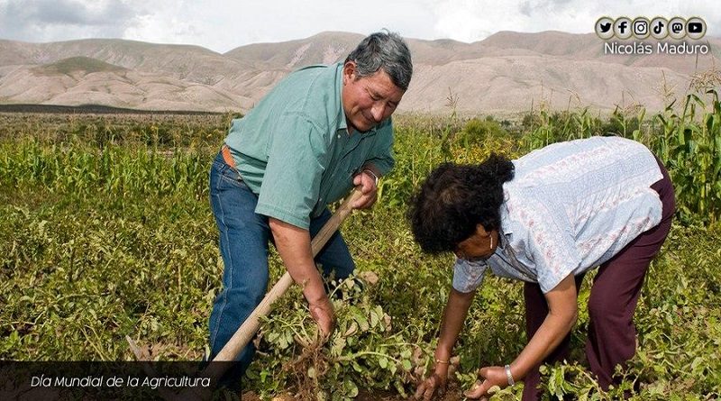 En el Día Mundial de la Agricultura | Gobierno Nacional reitera su apoyo a todos los productores para avanzar en la construcción del nuevo modelo económico productivo