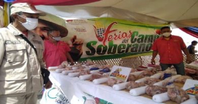 Feria del Campo Soberano beneficia a 1.500 familias de Ciudad Belén en Miranda