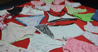 Inces capacita a 46 mujeres de varios estados del país en confección de ropa íntima