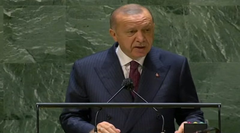 El presidente de Turquía, Recep Tayyip Erdogan, denunció ante las Naciones Unidas el fracaso de la solidaridad durante la actual situación sanitaria por el coronavirus y reclamó que los países en subdesarrollo hayan sido abandonados a su suerte.