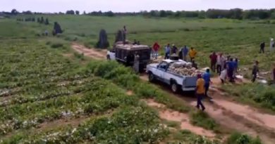 Gobierno Bolivariano establece acuerdos para el reimpulso de la producción de la agricultura y ganadería en el Zulia