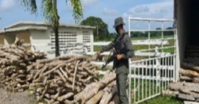 Efectivos de la GNB incautaron 300 estantillos de madera en Zulia