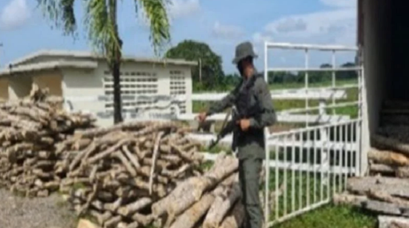 Efectivos de la GNB incautaron 300 estantillos de madera en Zulia