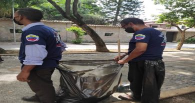 Plan Gran Caracas Patriota, Bella y Segura se despliega para la adecuación, embellecimiento y recuperación de áreas en parroquia San Bernardino