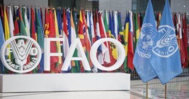 FAO impulsa la transformación de los sistemas agroalimentarios para crear un mejor futuro entra las naciones