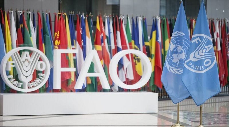 FAO impulsa la transformación de los sistemas agroalimentarios para crear un mejor futuro entra las naciones