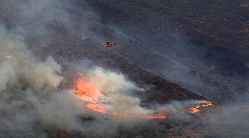 Controlan incendio de Sierra Bermeja en provincia de Málaga en España