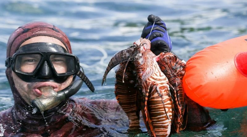 I Válida del Campeonato Nacional de Pesca Subacuática contribuye a la protección de la biodiversidad marina en Miranda