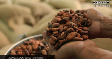 Venezuela celebra el Día Nacional del Cacao