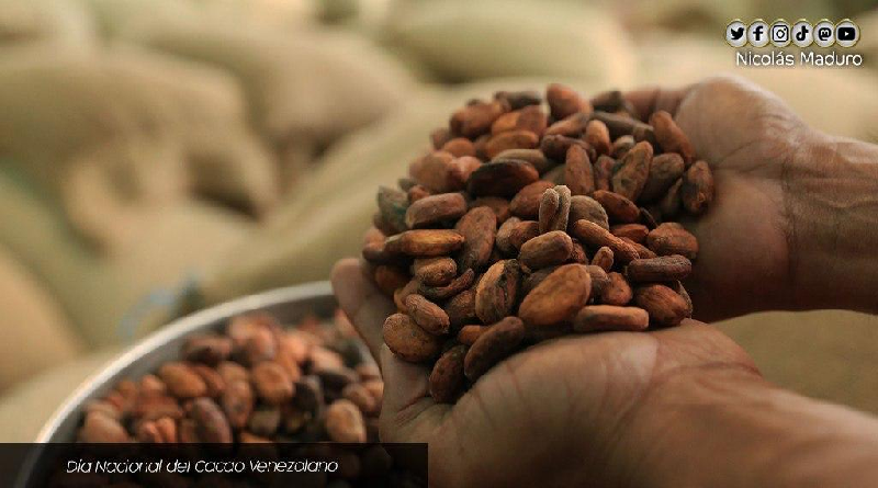 Venezuela celebra el Día Nacional del Cacao