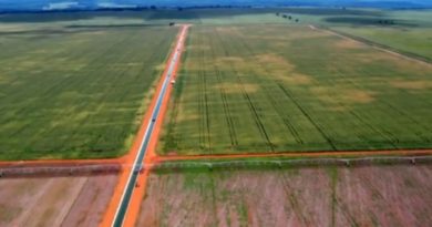 Cultivando Patria | Agropecuaria Ouro Branco tiene sembrado 4.500 hectáreas de soya en sus 3 unidades de producción