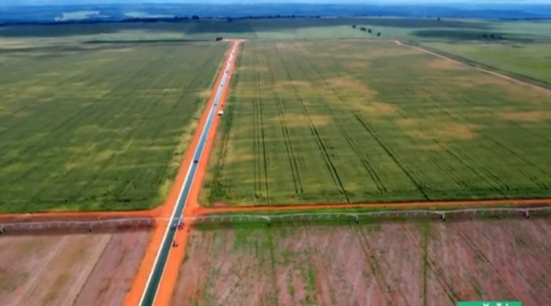 Cultivando Patria | Agropecuaria Ouro Branco tiene sembrado 4.500 hectáreas de soya en sus 3 unidades de producción