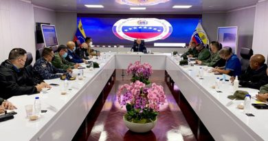 El Vicepresidente Sectorial para la Seguridad Ciudadana y la Paz, Remigio Ceballos