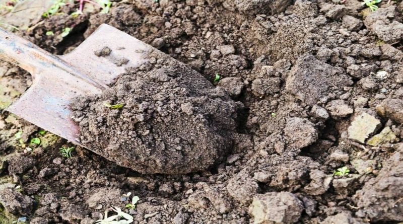 Hallan en el estado Lara osamenta que podría tener 1.500 años de antigüedad