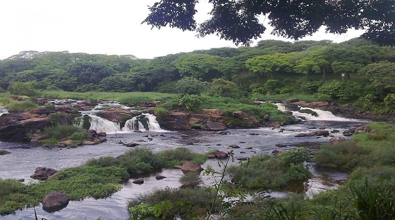 Impulsan Jornada Nacional de Reforestación en el estado Bolívar