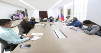 Consejo de Vicepresidentes Sectoriales evalúa líneas estratégicas para la protección del pueblo venezolano