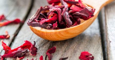 La flor de jamaica ayuda a combatir los síntomas de la gripe