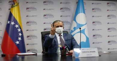 Venezuela participa en la 185° Reunión de la Conferencia de la OPEP