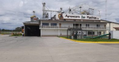 Planta agrícola