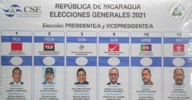 Son seis los partidos políticos que participarán en los comicios de este 7 de noviembre para elegir al mandatario que gobernará durante el período 2022-2027. | Foto: EFE