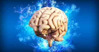 Este es el alimento que cuida la salud de tu cerebro