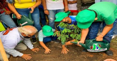 Plan de reforestación "Oxigenando mi ciudad" recupera áreas verdes de Barquisimeto