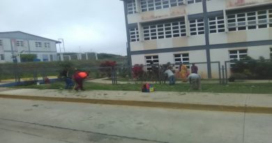 Jornada de poda y desmalezamiento benefician a familias de urbanismo Ciudad Caribia