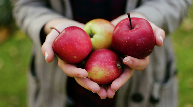 Esta es la razón por la cual algunas personas no deben comer manzanas