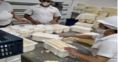 Lácteos Los Andes aumenta la producción de queso pasteurizado para el abastecimiento nacional