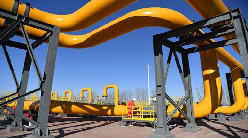ESPECIAL XINHUA | Institutos de China y Costa Rica colaboran para el mejoramiento genético de cultivos
