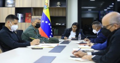 Vicepresidenta Ejecutiva y Vicepresidentes Sectoriales abordan propuestas para Consejo Federal de Gobierno