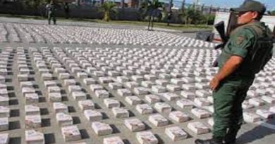GNB incauta más de 390 kilos de cocaína en diferentes procedimientos en La Guaira y Táchira