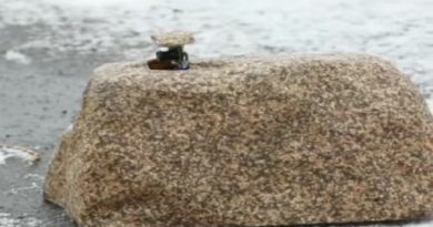 Militares rusos desarrollan una piedra capaz de rastrear enemigos