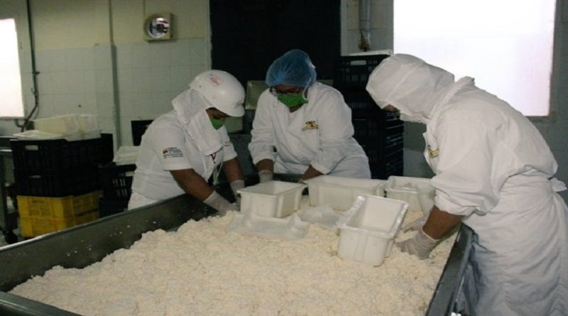 Planta de Valle de Quíbor en Lara aumenta capacidad de producción del queso de cabra