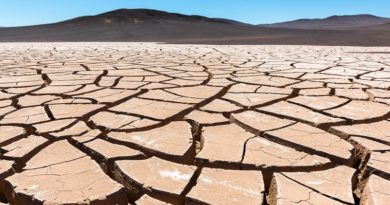 Estudio identificó alta concentración de amoniaco atmosférico en África
