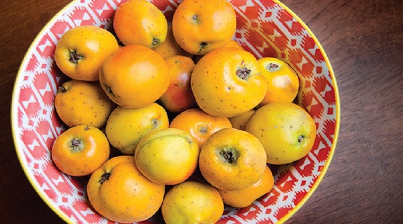 Tejocote: una fruta mexicana con propiedades antiinflamatorias, vasorelajantes e hipolipidémicas