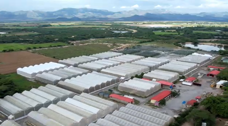 Cultivando Patria: Empresa Agronómica Socialista Valle de Quibor impulsa producción de alimentos con 24 Casas de Cultivo