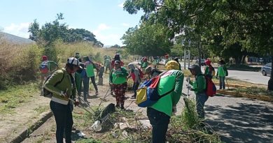 Realizan jornada de limpieza y acondicionamiento de áreas verdes en municipio Sucre de Aragua